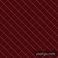 转会窗专家
